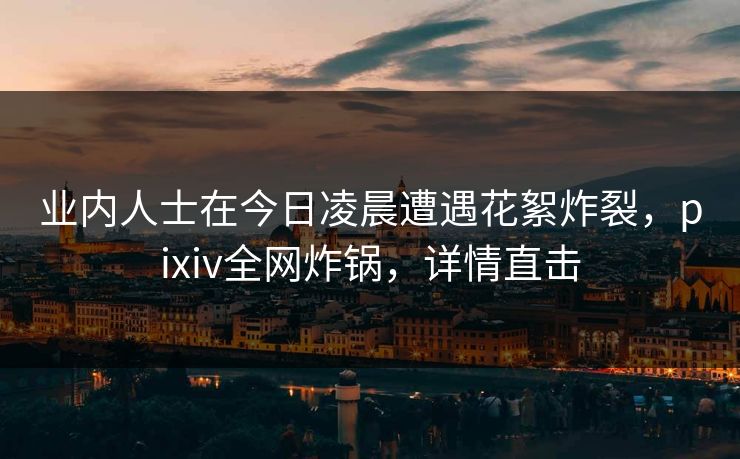 业内人士在今日凌晨遭遇花絮炸裂，pixiv全网炸锅，详情直击