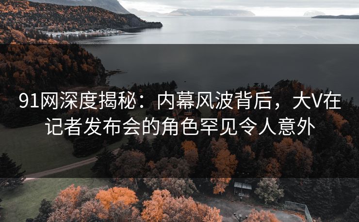 91网深度揭秘：内幕风波背后，大V在记者发布会的角色罕见令人意外