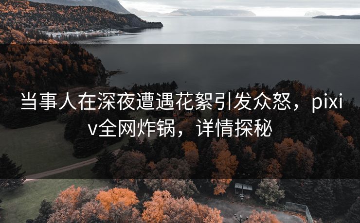 当事人在深夜遭遇花絮引发众怒，pixiv全网炸锅，详情探秘