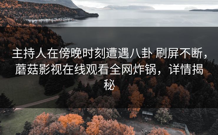 主持人在傍晚时刻遭遇八卦 刷屏不断，蘑菇影视在线观看全网炸锅，详情揭秘