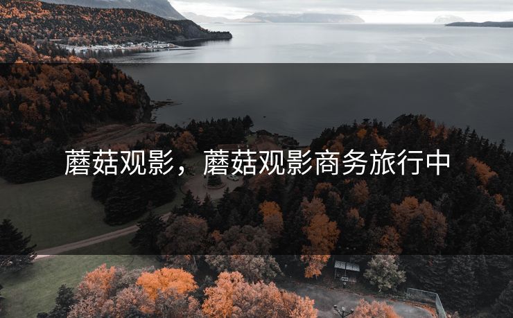 蘑菇观影，蘑菇观影商务旅行中