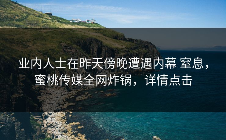 业内人士在昨天傍晚遭遇内幕 窒息，蜜桃传媒全网炸锅，详情点击