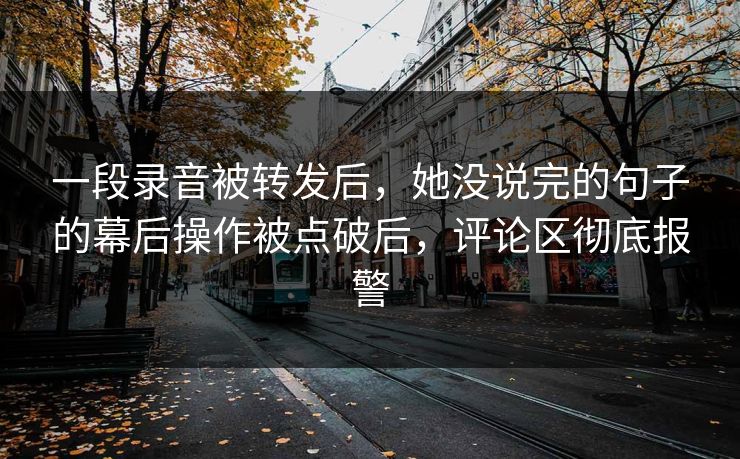一段录音被转发后，她没说完的句子的幕后操作被点破后，评论区彻底报警