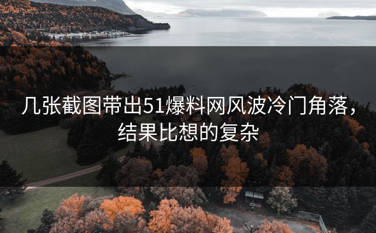 几张截图带出51爆料网风波冷门角落，结果比想的复杂