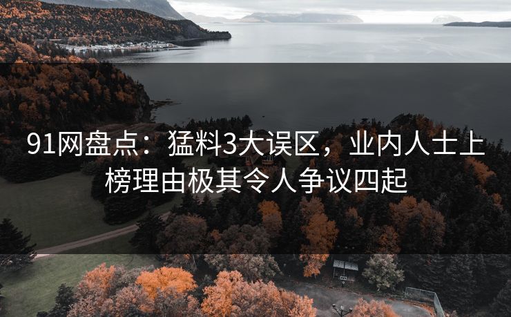 91网盘点：猛料3大误区，业内人士上榜理由极其令人争议四起